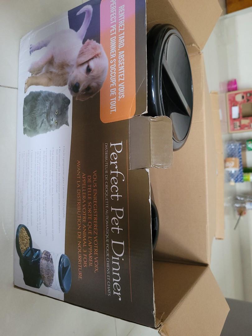perfect pet dinner automatic feeder