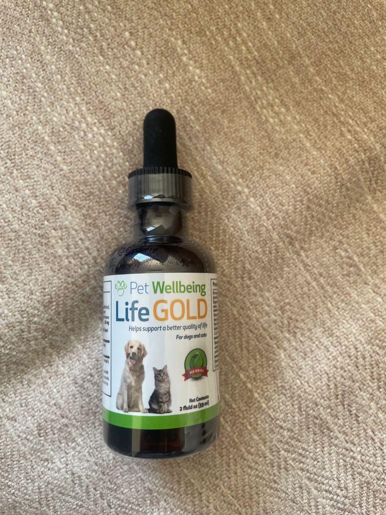 Life gold for online dogs