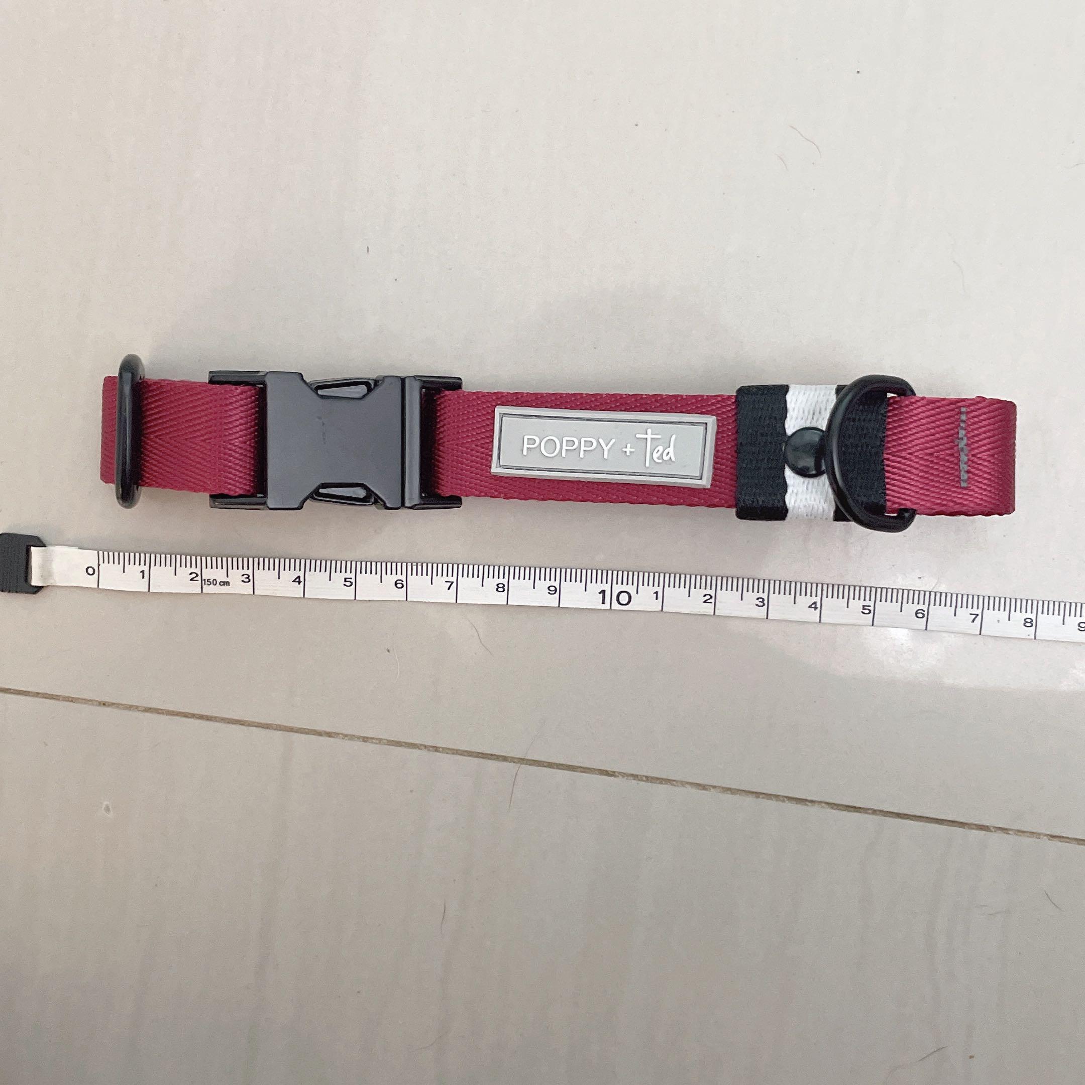 poppy tag for dog collar