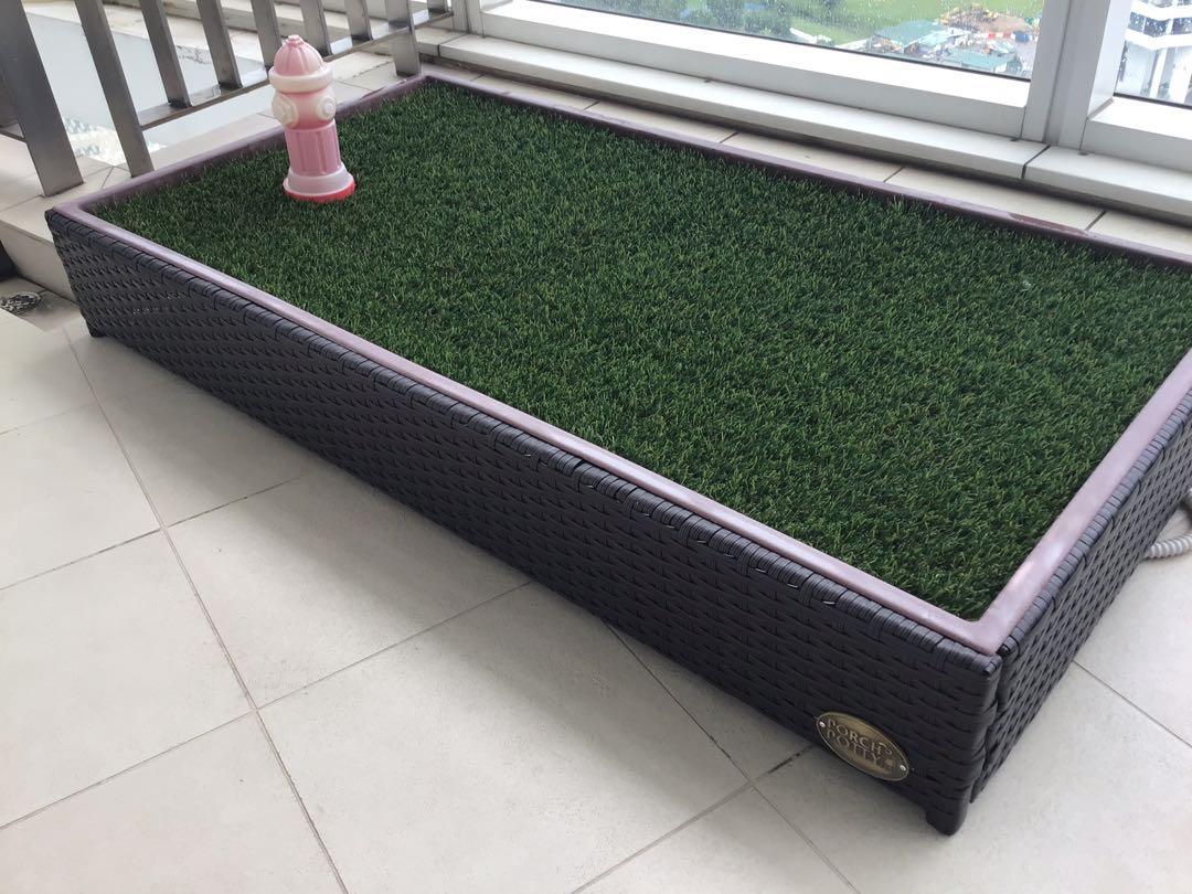 Porch potty shop with drain