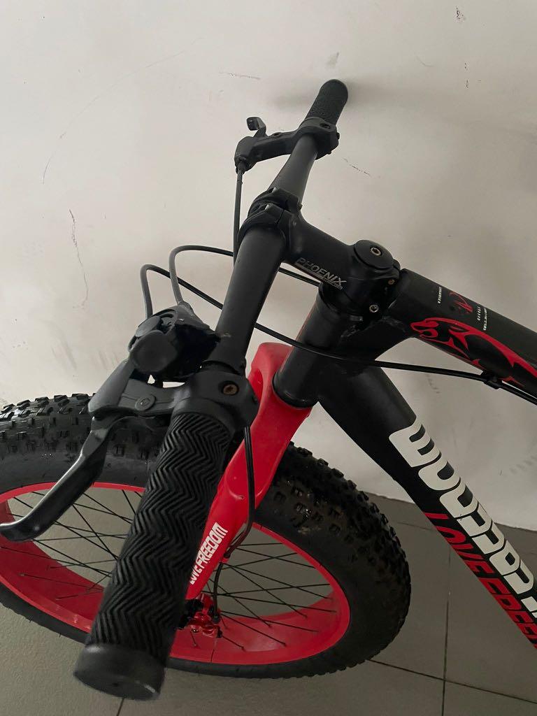 Wild wolf fat top bike