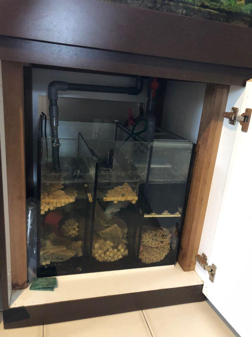 complete sump setup