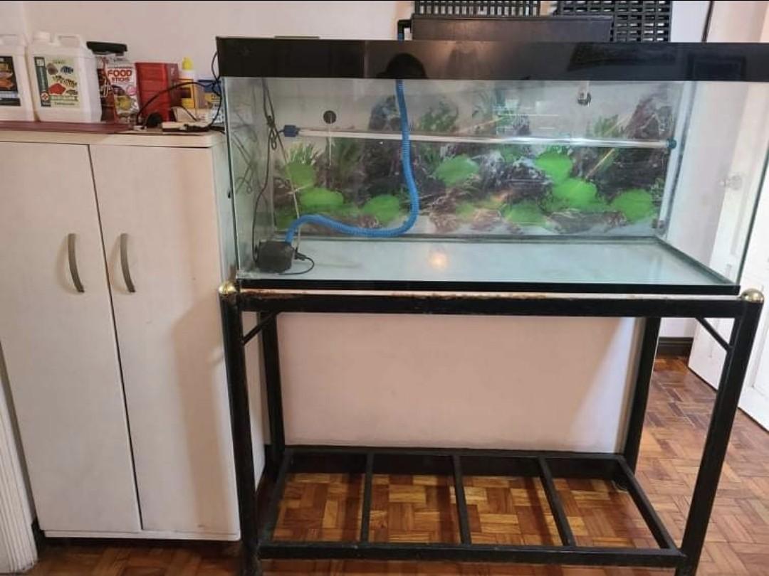 Aquarium, Pet Supplies, Homes & Other Pet Accessories On Carousell