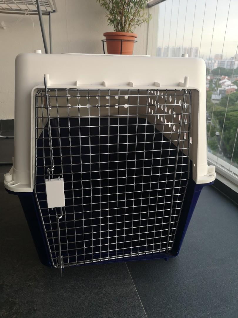 pp50 dog crate
