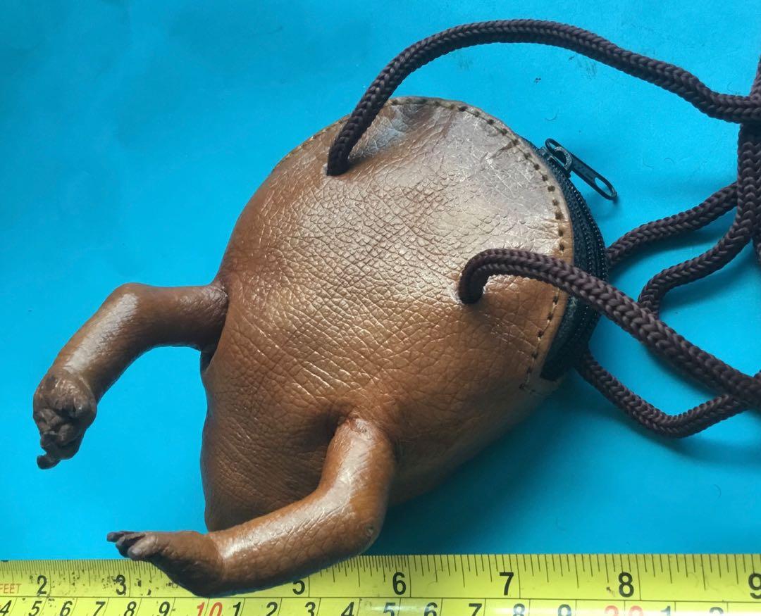 Genuine Taxidermy Tanned Skin REAL FROG Toad Coin Purse Zipper Belly FULL  BODY | #3764972366