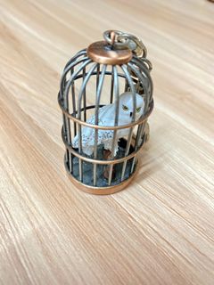 （分類：）位於 。 由 kkaa1234 提交（商品編號 1127086760，圖片 1）。簡介： 。