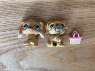 (Category: ) located in . Submitted by jacquelineyeo (Listing ID 1127008755, Image 1). Description: .