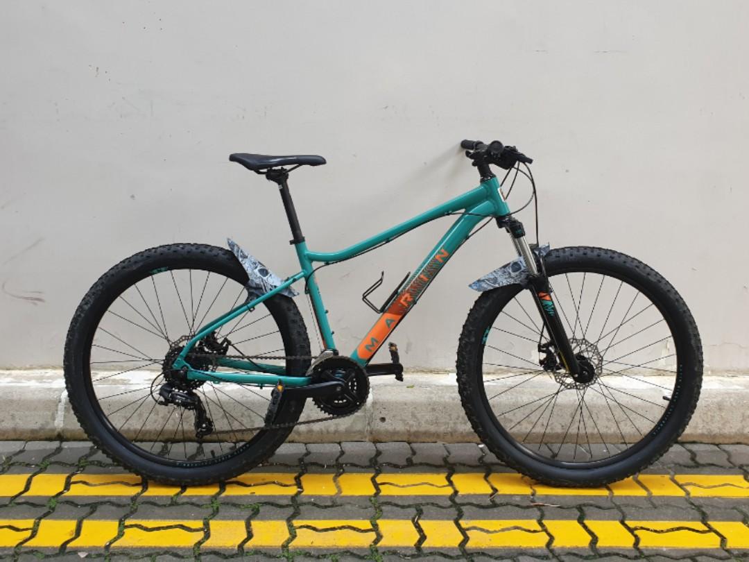Marin wildcat new arrivals trail 1 2021