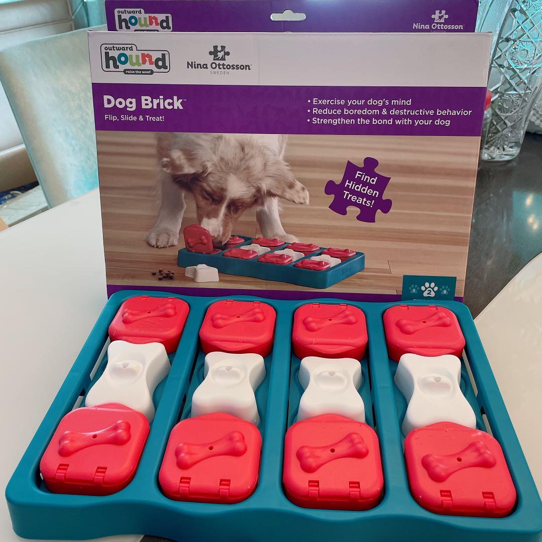 outward hound dog brick