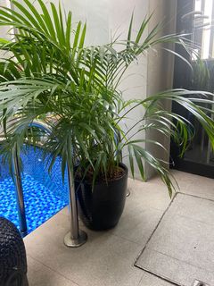 (Category: ) located in . Submitted by helenayay (Listing ID 1126995251, Image 1). Description: .