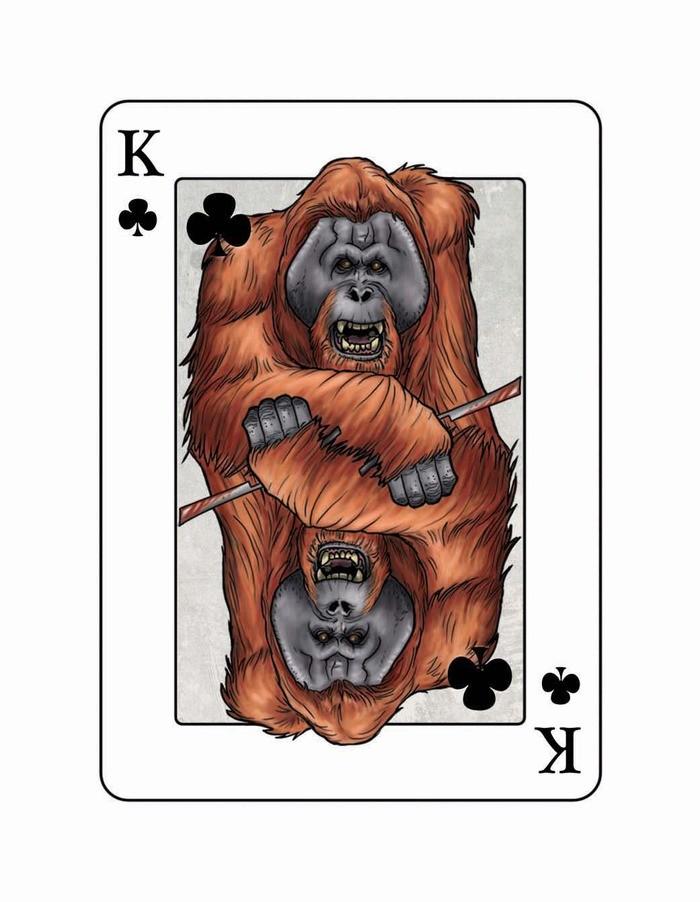 Bicycle edgar allan poe playing cards online