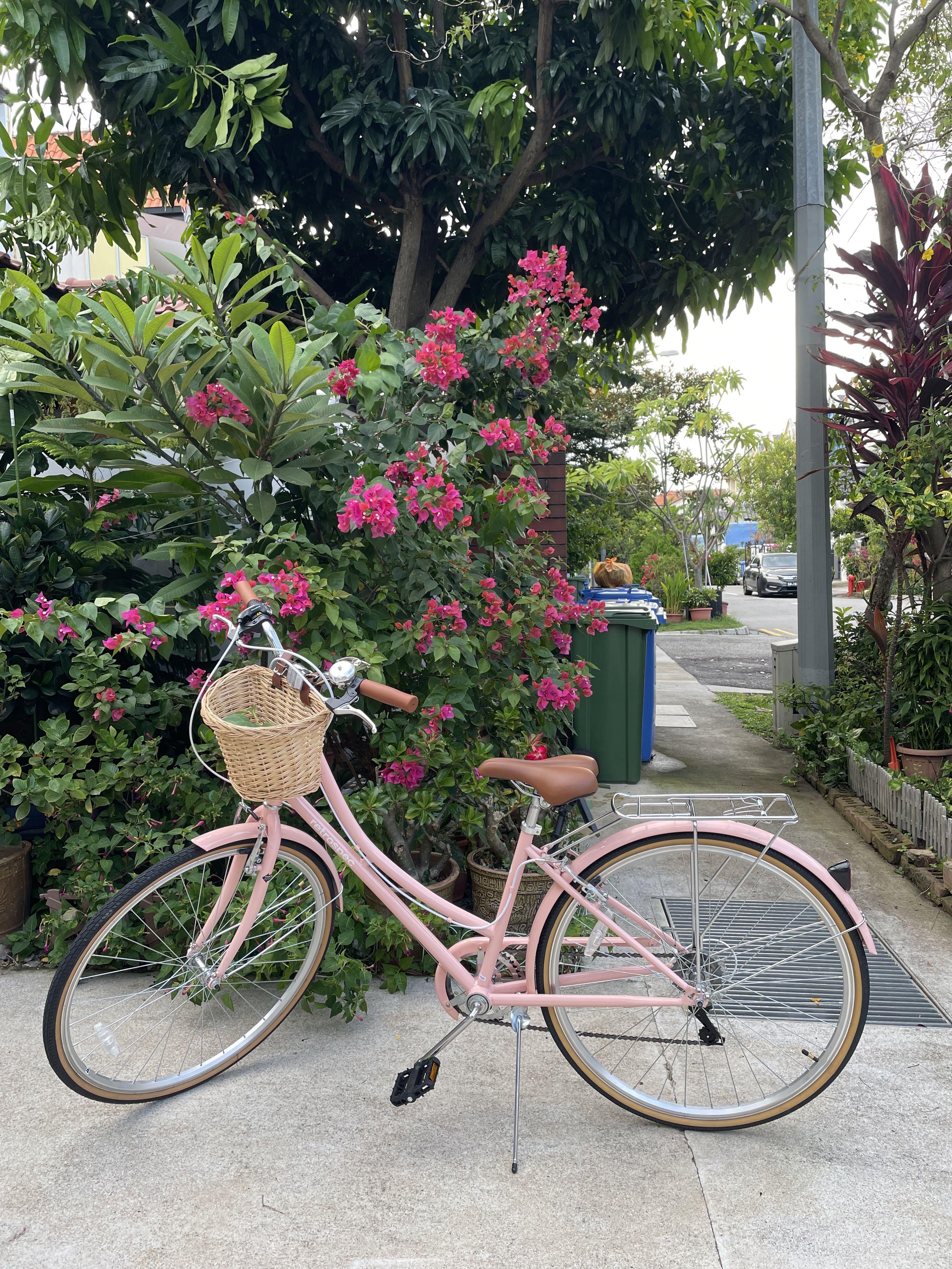 Retrospec Beaumont ladies city bike. Blush pink with 7 gears Sports Equipment Bicycles Parts Bicycles on Carousell