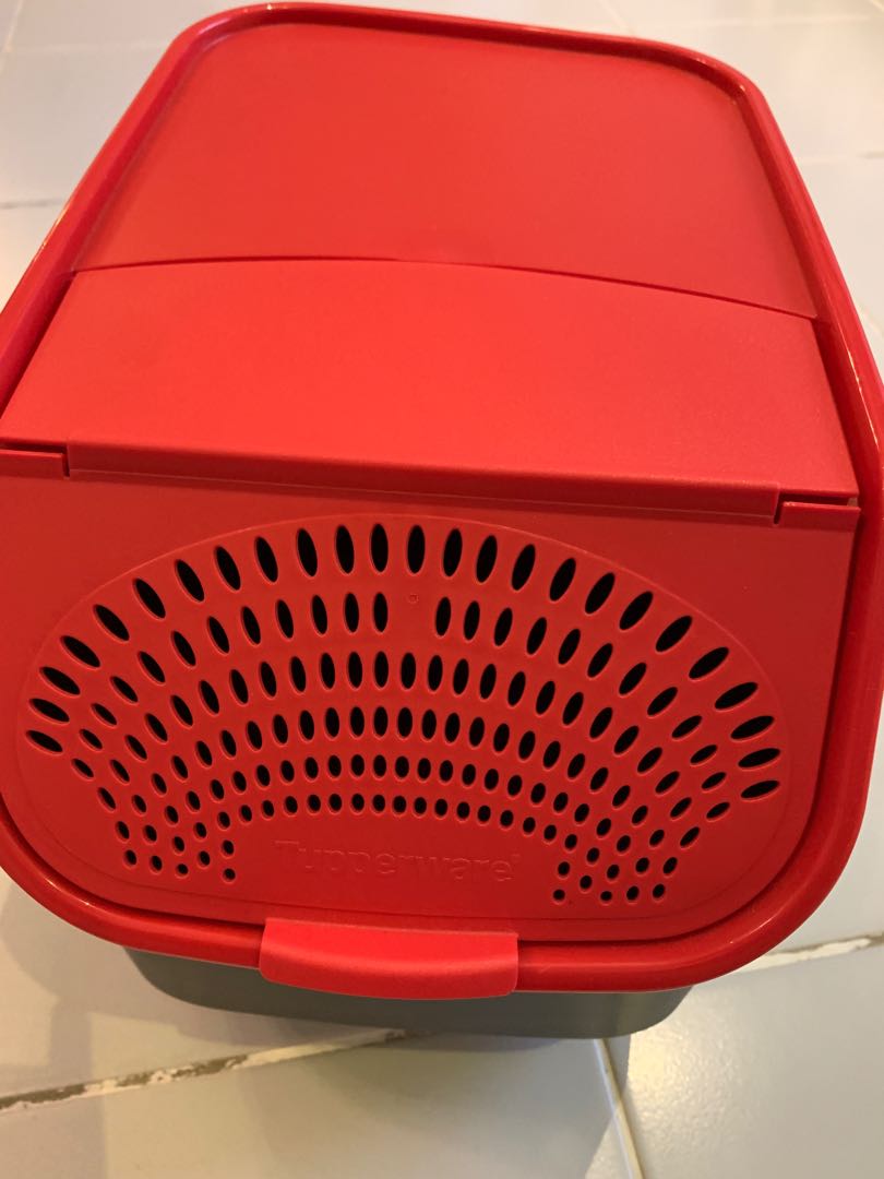 Tupperware Garlic Potato Onion Keeper 5.5L, Furniture & Home Living