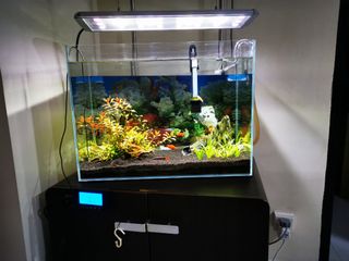 (Category: ) located in . Submitted by seng09633 (Listing ID 1127208598, Image 1). Description: .