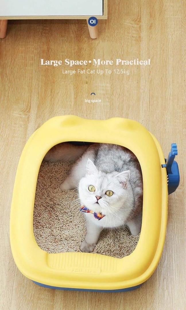 cat ear litter box