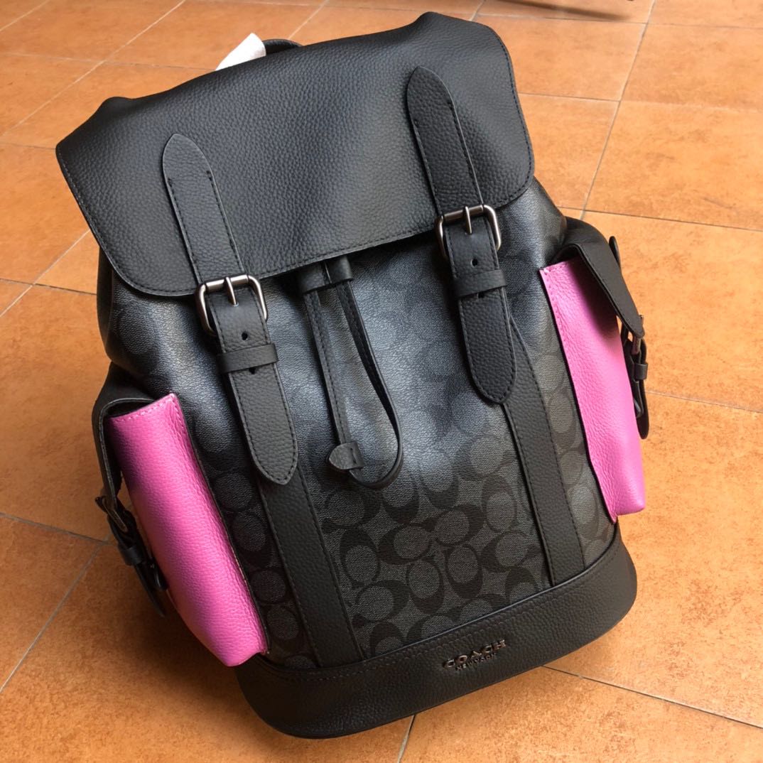 Hudson backpack in colorblock 2025