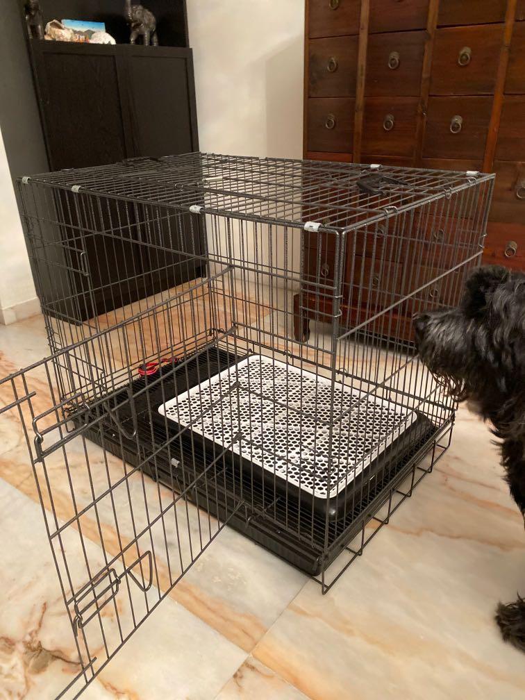 grate for dog crate