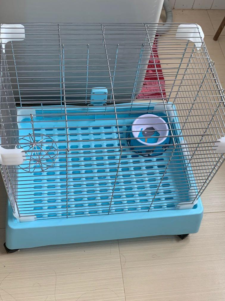 rabbit cage