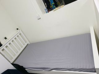 (Category: ) located in . Submitted by spidyapom (Listing ID 1127271416, Image 1). Description: .