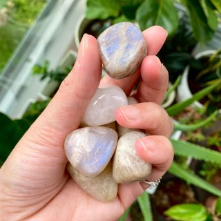 (Category: ) located in . Submitted by gemstone.essentials (Listing ID 1127306307, Image 1). Description: .