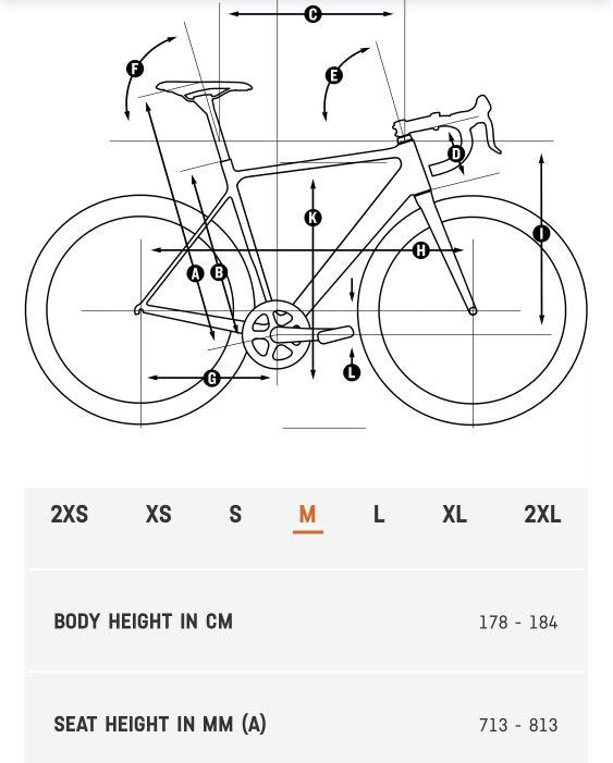 Canyon endurace sales geometry chart