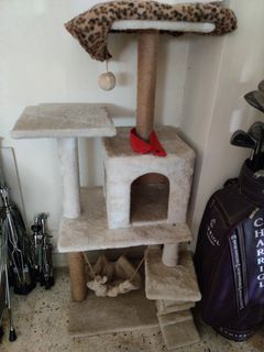 (Category: ) located in . Submitted by gracenoona (Listing ID 1127375329, Image 1). Description: .