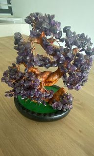 (Category: ) located in . Submitted by rainieloh (Listing ID 1127485860, Image 1). Description: .