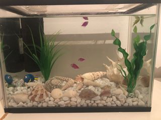 (Category: ) located in . Submitted by slbinsg (Listing ID 1127387255, Image 1). Description: .