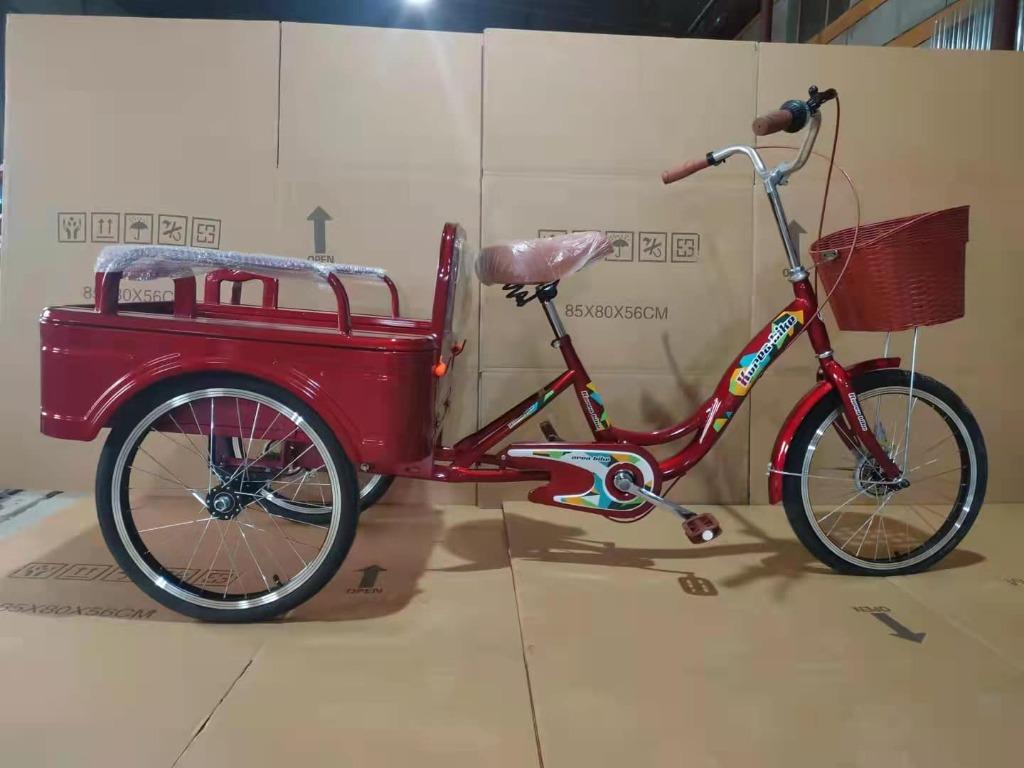 Three wheel bike 2025 with passenger seat