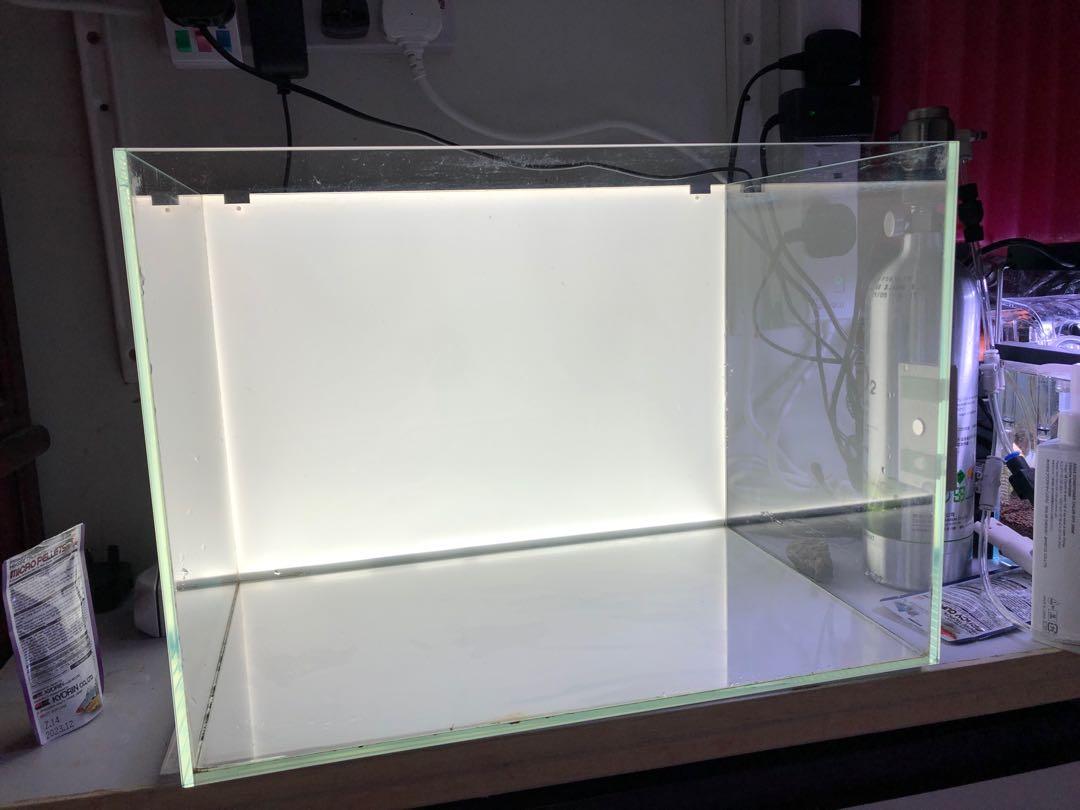 超白魚缸 背景板 Nala 水草燈一套賣 不是ada 尼特利 千尋 寵物用品 寵物家品及其他 Carousell