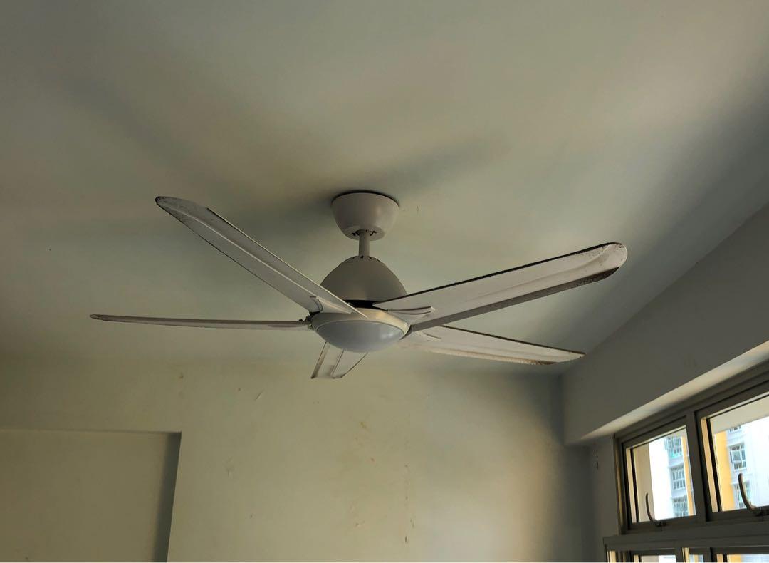 Alpha Colorful Ceiling Fan Alpha ceiling fan, Furniture & Home Living, Lighting & Fans, Fans on ...