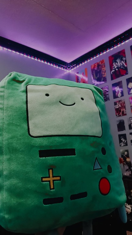 Miniso bmo plush discount