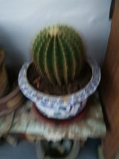 (Category: ) located in . Submitted by t_cw97 (Listing ID 1127638848, Image 1). Description: .
