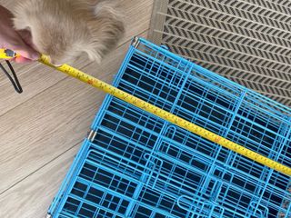 （分類：）位於 。 由 onecitygate 提交（商品編號 1127591033，圖片 1）。簡介： 。