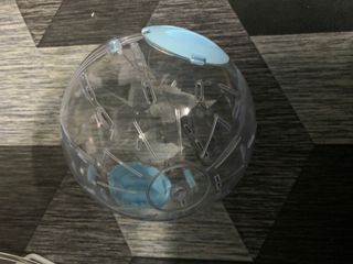 (Category: ) located in . Submitted by elemenope (Listing ID 1127705174, Image 1). Description: .