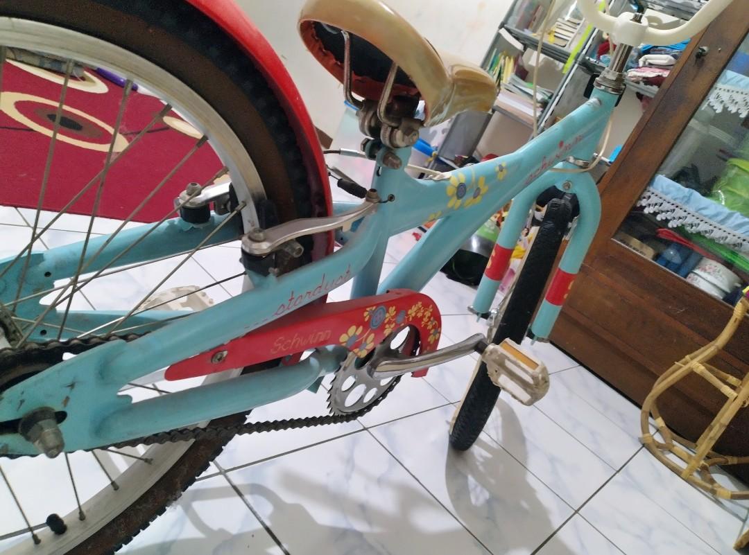 Schwinn stardust 20 top
