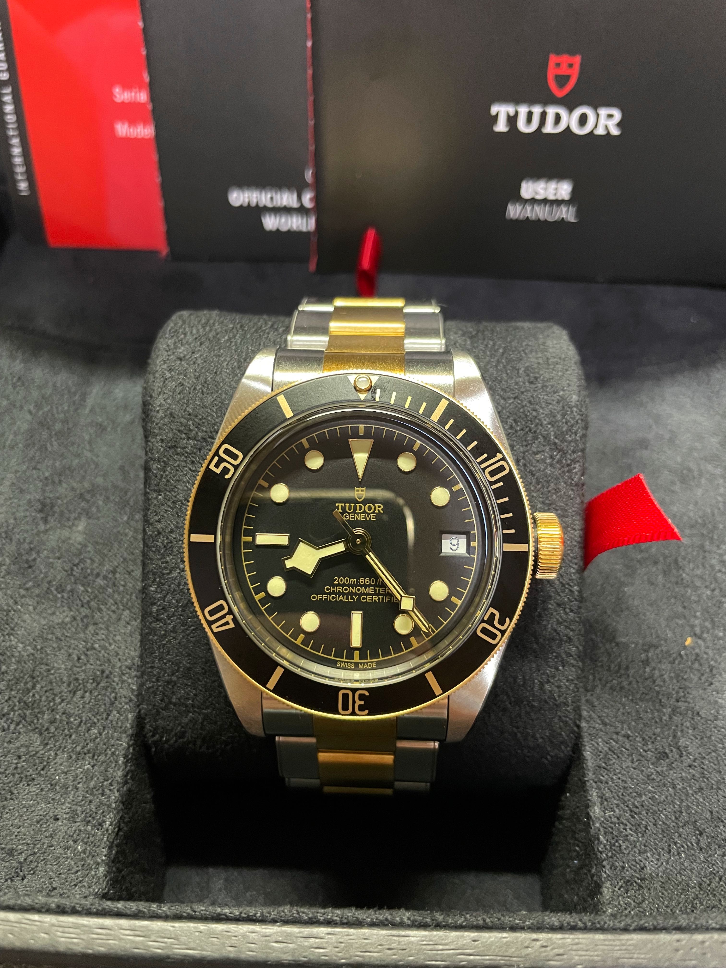 79733 tudor