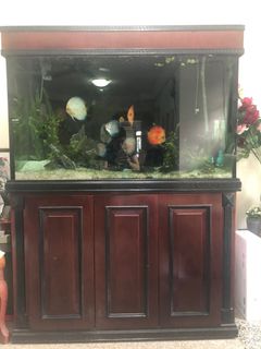 (Category: ) located in . Submitted by vip_person (Listing ID 1127763274, Image 1). Description: .