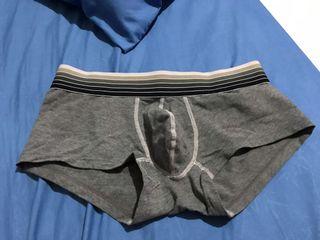 Boxer level UP
