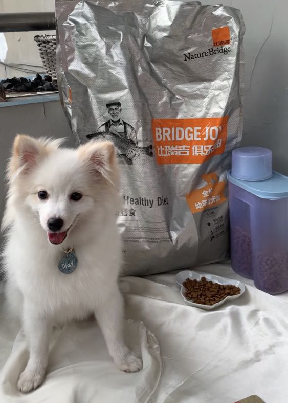 Nature bridge dog food on sale