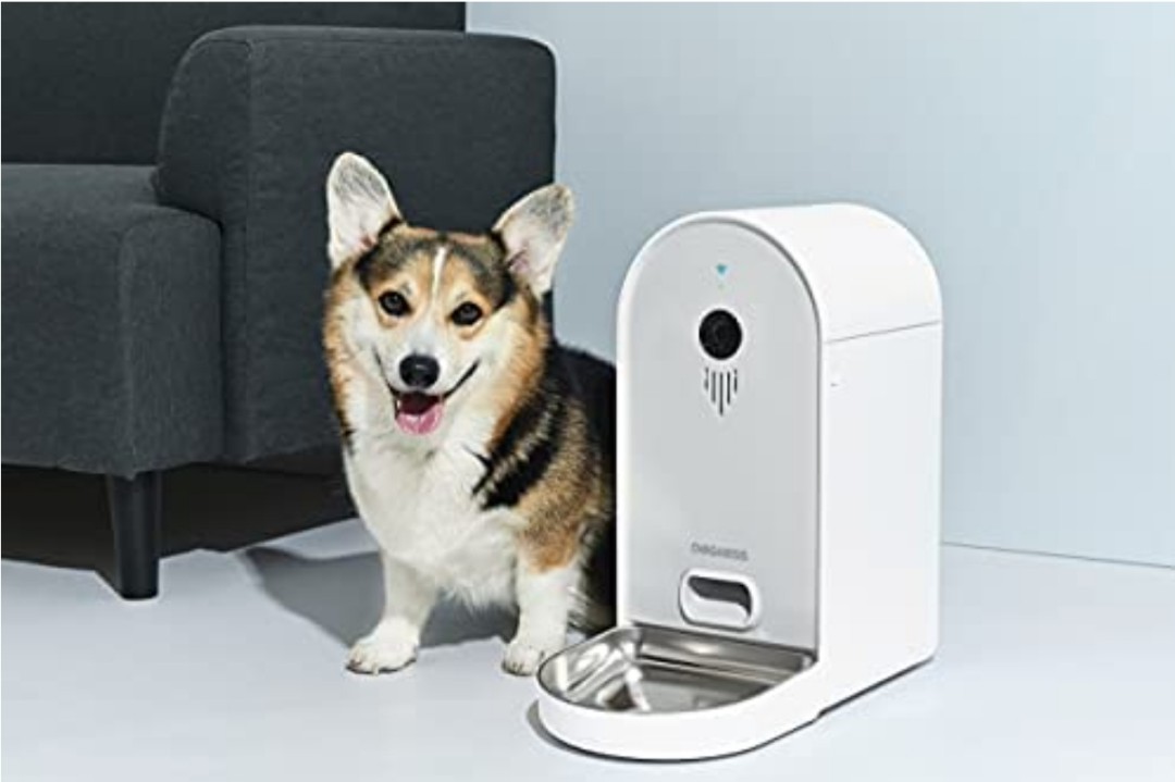 DOGNESS Automatic WiFi Dog/Cat Smart Camera Feeder - 6.5Lbs