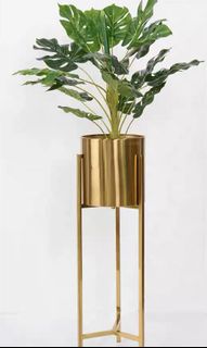 (Category: ) located in . Submitted by homeeendecor (Listing ID 1127828454, Image 1). Description: .