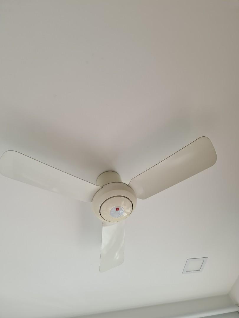 Kdk Baby Ceiling Fan Singapore Shelly Lighting