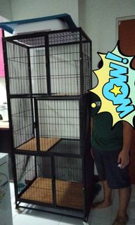 (Category: ) located in . Submitted by Lucky7expressDelivery (Listing ID 1128092806, Image 1). Description: .