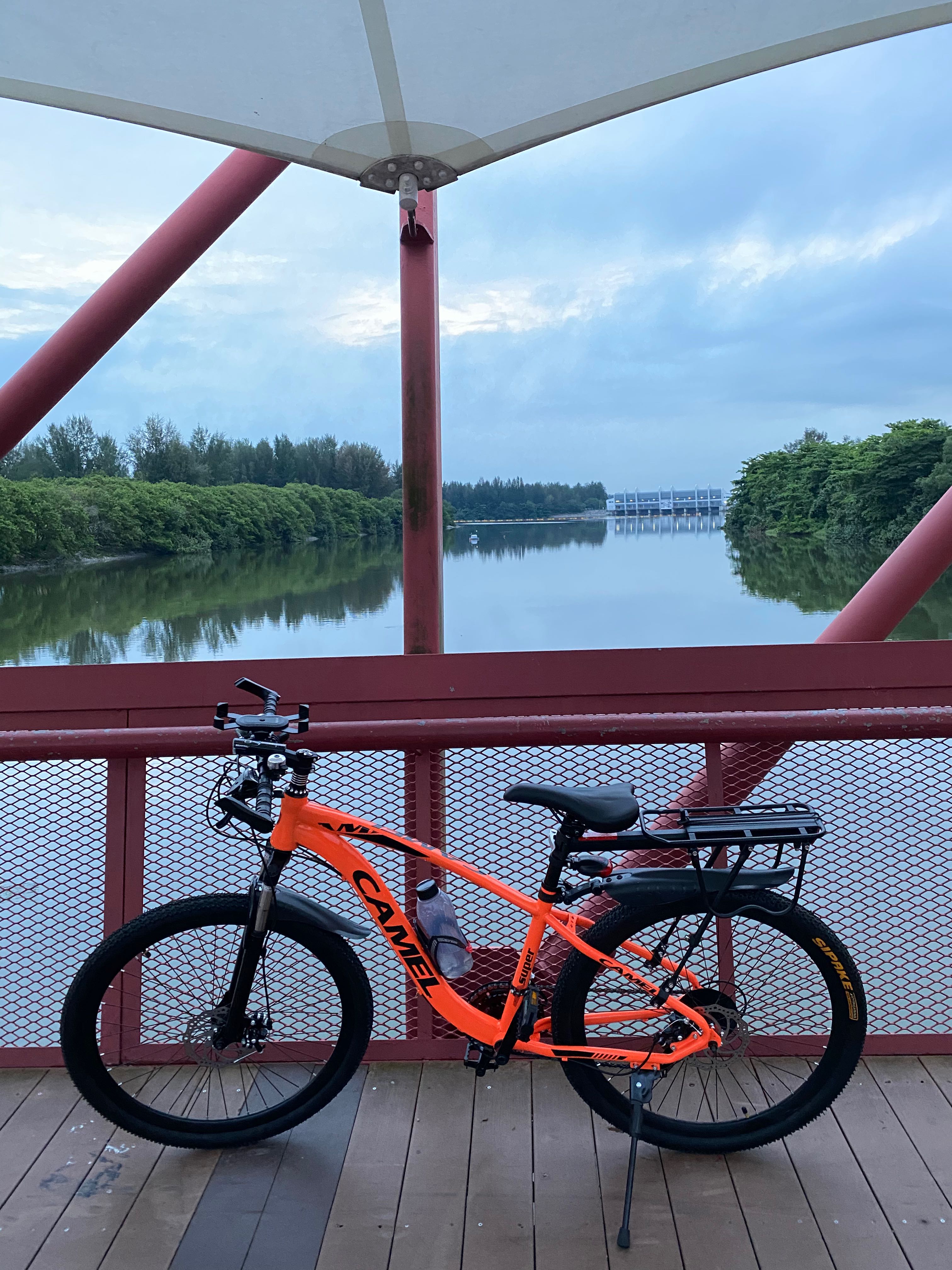Camel mountain on sale bike
