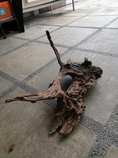 Drift Wood