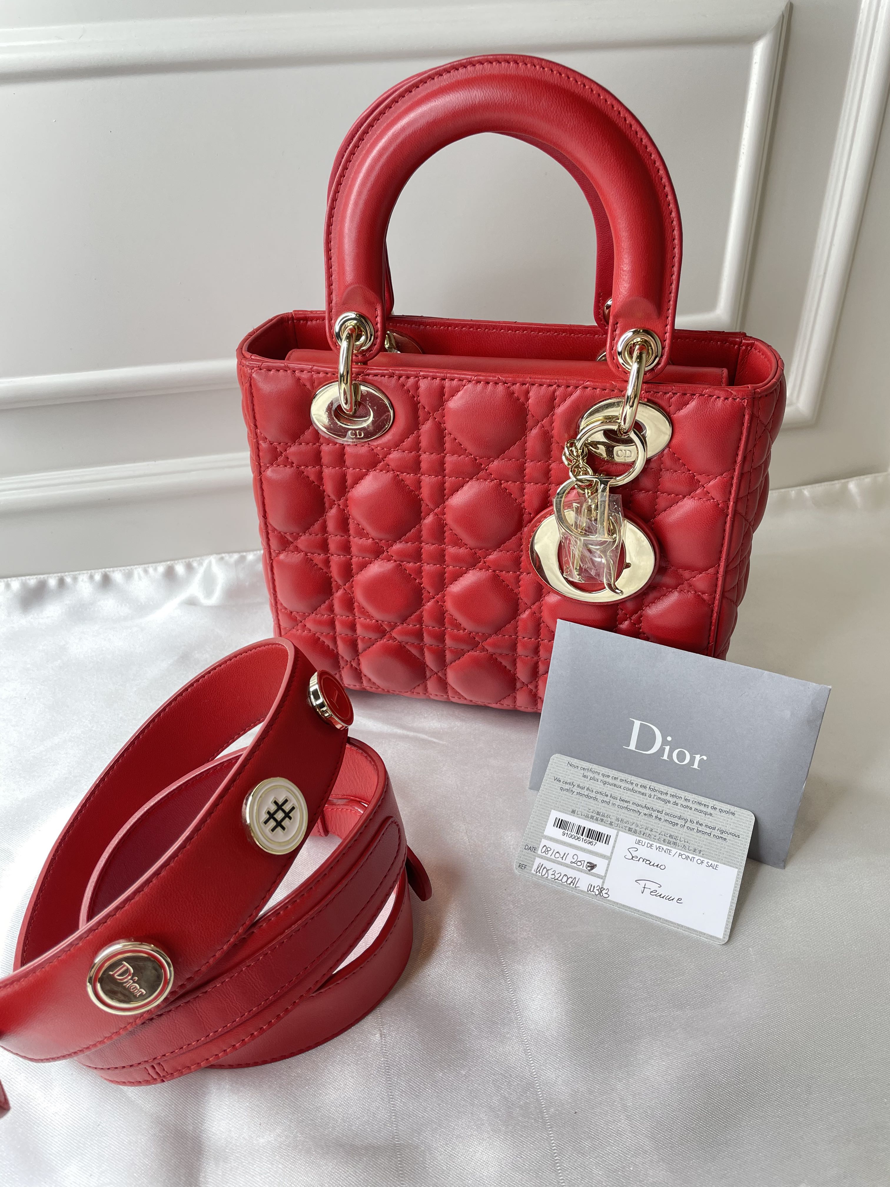 dior my lady bag