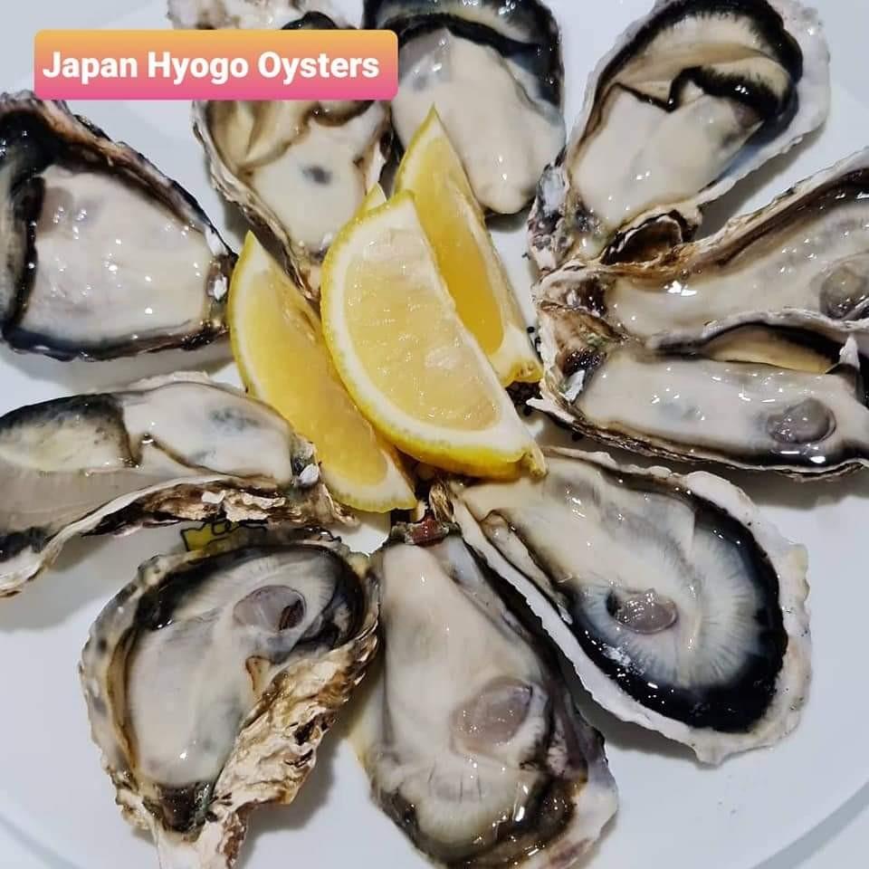 Hyogo Oysters Fresh Frozen Japan, Food & Drinks, Chilled & Frozen Food