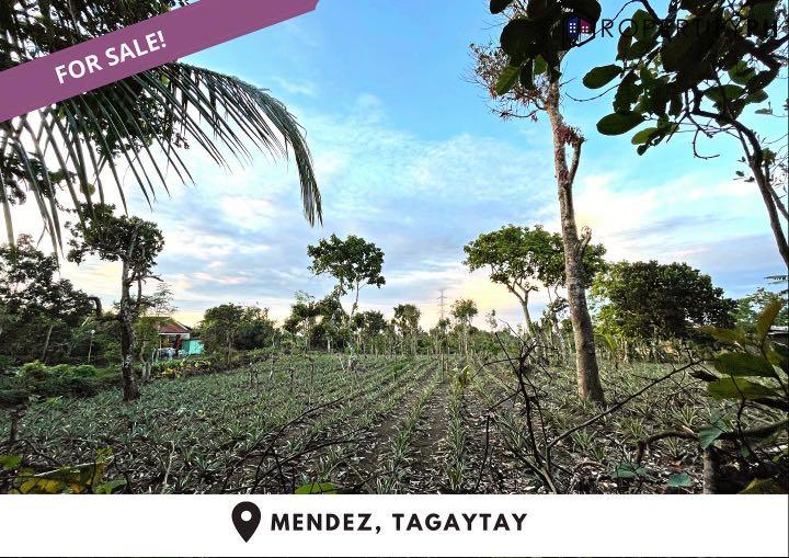 TAGAYTAY FARM 1.8has for Sale at Mendez, Tagaytay, Property, For Sale