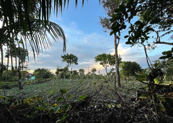 TAGAYTAY FARM 1.8has for Sale at Mendez, Tagaytay, Property, For Sale